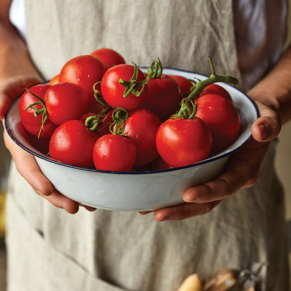 Tomato Summer Frolic